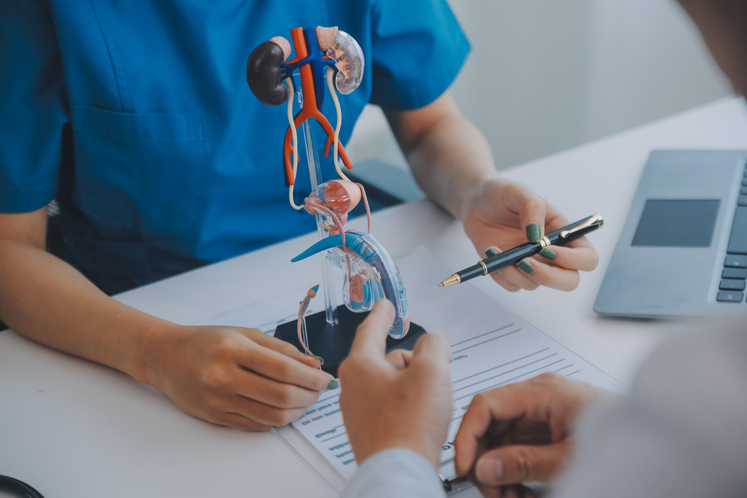 Urology